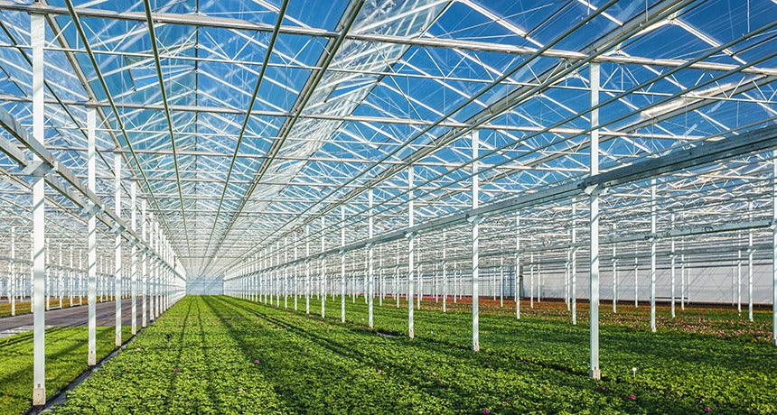 Greenhouse Solar Panels: A Guide to Sustainability - Benebomo